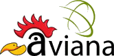 AVIANA AFRICA