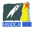HANDICA 2013, International Exhibition for the Acquisition of Autonomy