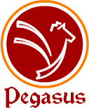 Pegasus Consultancy (Pvt.) Ltd.