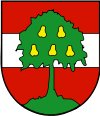 Dornbirn trade shows