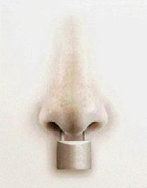 NOSE