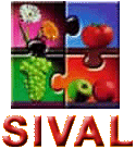 SIVAL