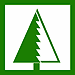 WOOD PROCESSING MACHINERY